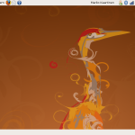 Ubuntu 8.04.1 & Eee 901